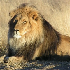 Сергей Казарин